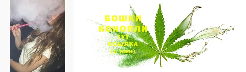 Канабис гибрид  Кострома 